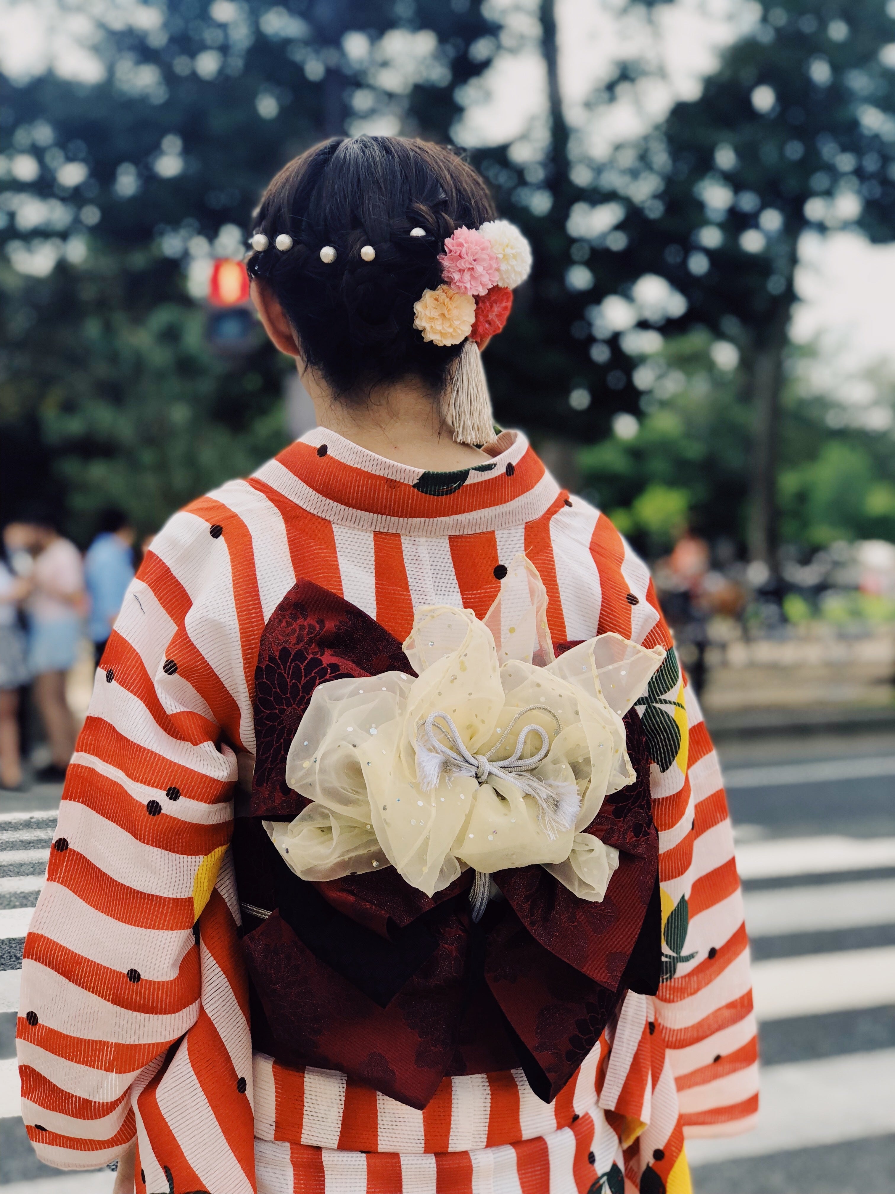 files/geisha-crosses-the-road.jpg